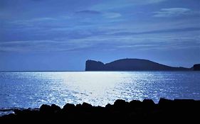 ALGHERO SUN&SEA - Spiaggia a 50 metri